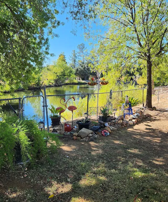 Meadowbrook RV Park Picture 3