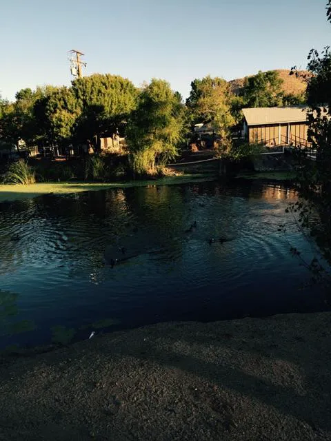 Meadowbrook RV Park Picture 9