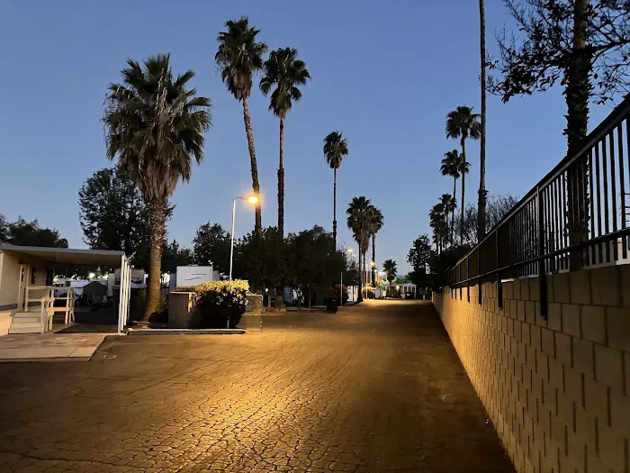 Casa Del Sol RV Resort Picture 3