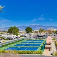 Golden Village Palms RV Resort ico