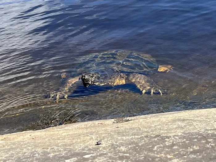 Locator Lake Picture 2