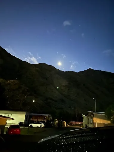 Palm Springs Mobile Home and RV Community Picture 4