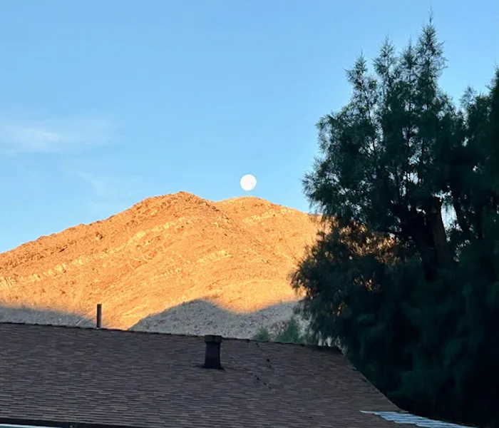 Palm Springs Mobile Home and RV Community Picture 7