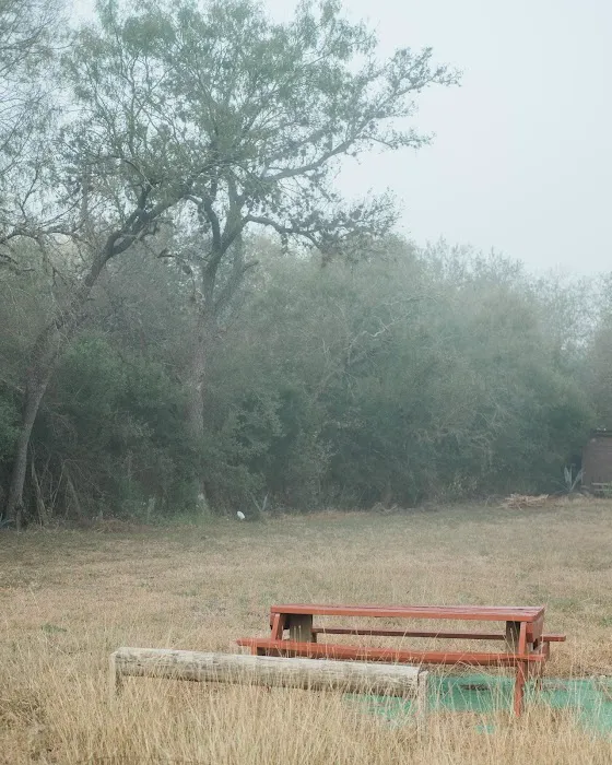 TEXAS STARR RV PARK Picture 2
