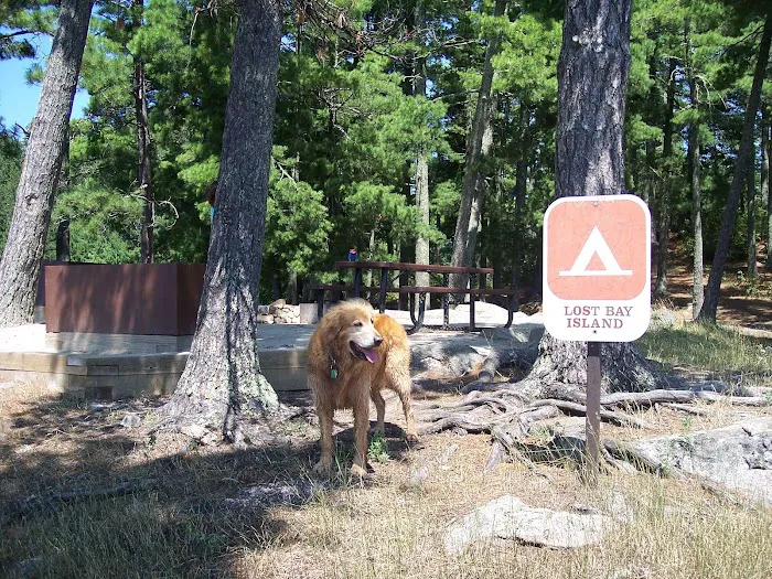 Lost Bay Island K17 Campsite Picture 4