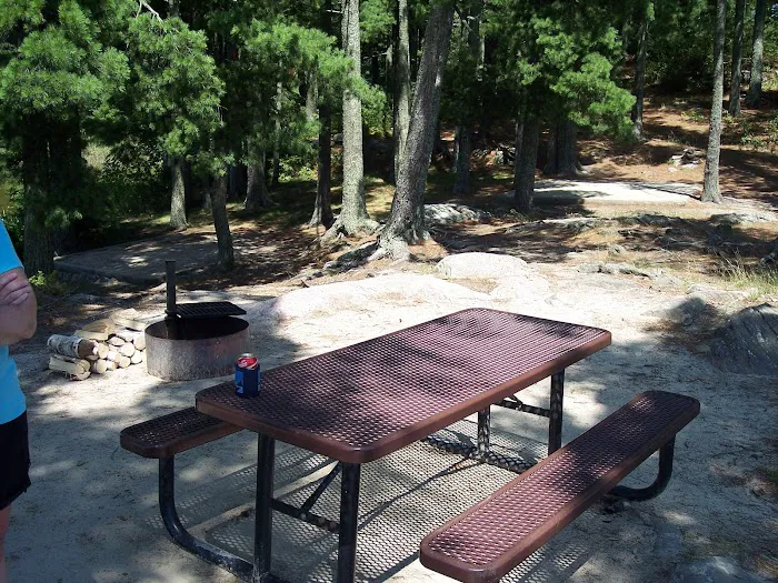 Lost Bay Island K17 Campsite Picture 3