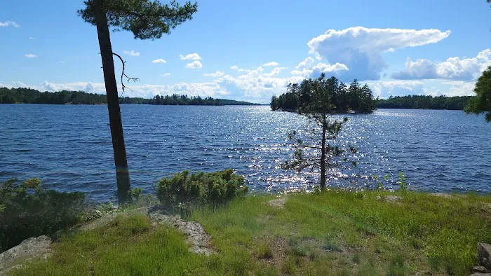 Lost Bay Island K17 Campsite Picture 7