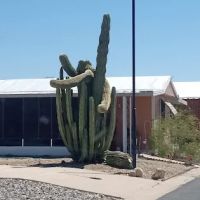Villa Vista Mobile Home Park Office ico