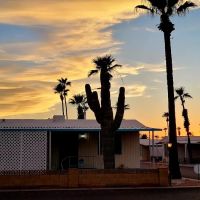Silverado Estates ico