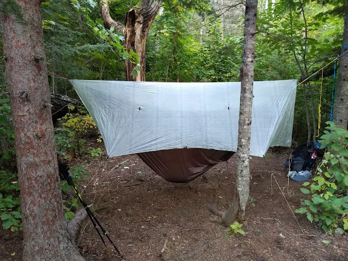 Jackson Creek Camp Picture 3