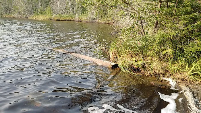 Otter Lake Campsite Picture 1