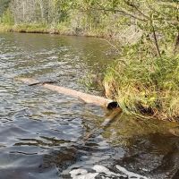 Otter Lake Campsite ico