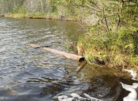 Otter Lake Campsite