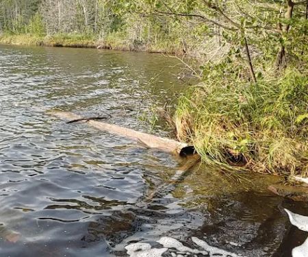 Otter Lake Campsite