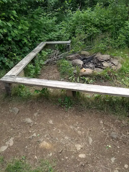 Andy Creek Camp Picture 5