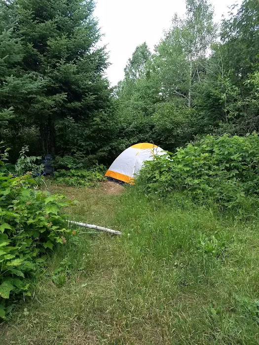 Andy Creek Camp Picture 6