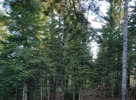 Fort Charlotte Backcountry Campgrounds