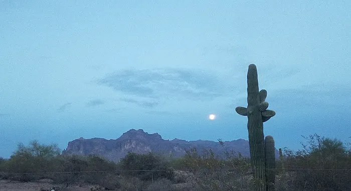 Arizona Sleets Mobil Home Park Picture 1