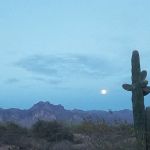 Arizona Sleets Mobil Home Park