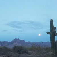 Arizona Sleets Mobil Home Park ico