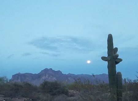 Arizona Sleets Mobil Home Park