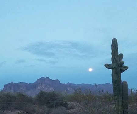 Arizona Sleets Mobil Home Park