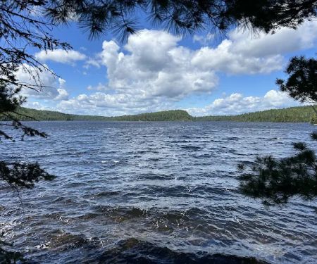 BWCA Campsite #706
