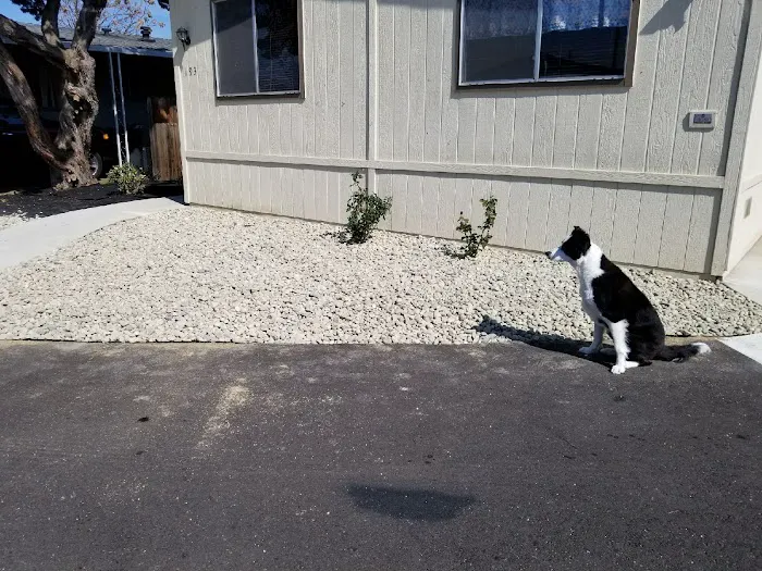 Riverview Mobile Home Park Picture 3