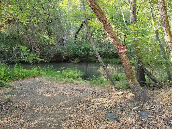 Uvas Pines RV Park Picture 9