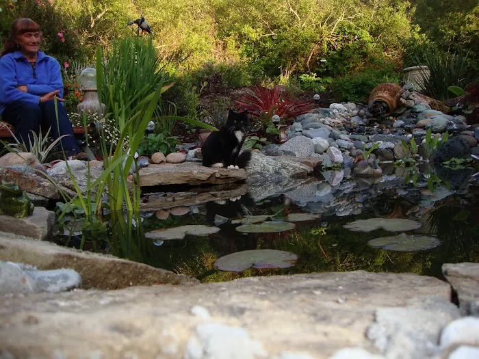 Bridgehaven Park Picture 1