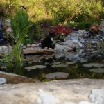 Bridgehaven Park