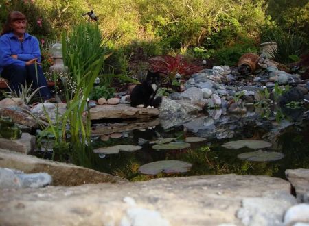 Bridgehaven Park