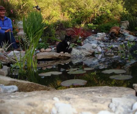 Bridgehaven Park