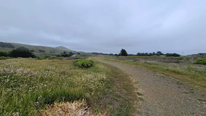 Bodega Bay RV Park Picture 4
