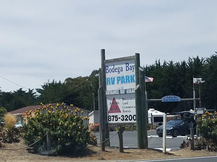 Bodega Bay RV Park Picture 8