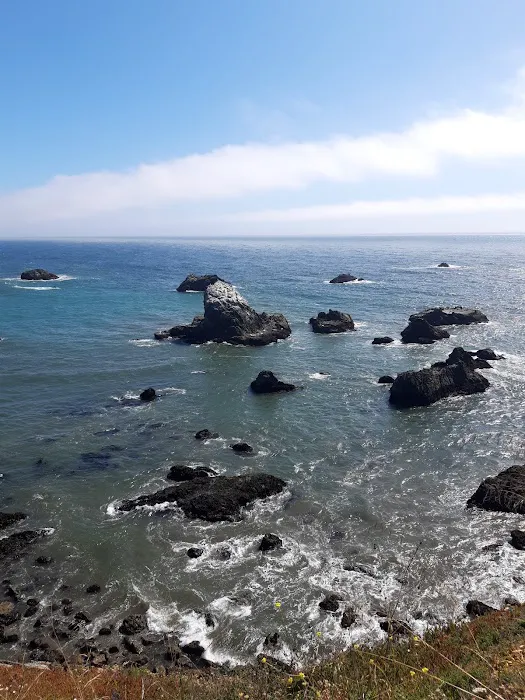 Bodega Bay RV Park Picture 7