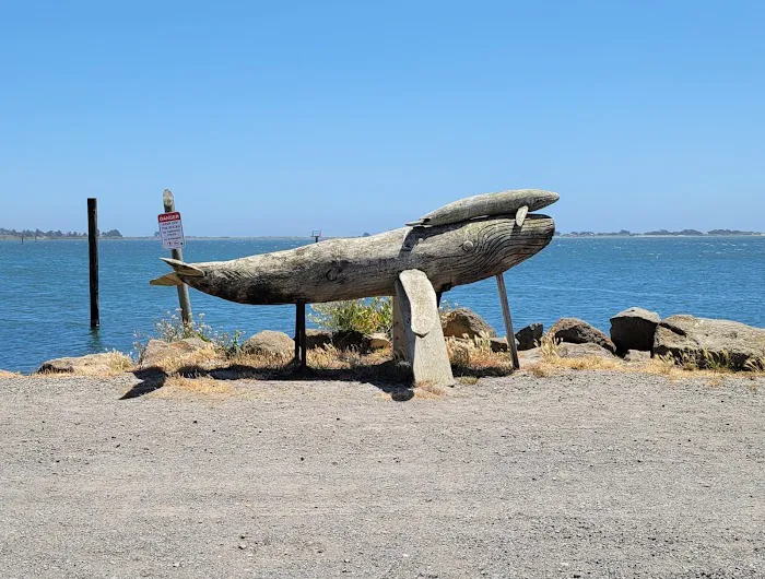 Porto Bodega Marina and RV Park Picture 9