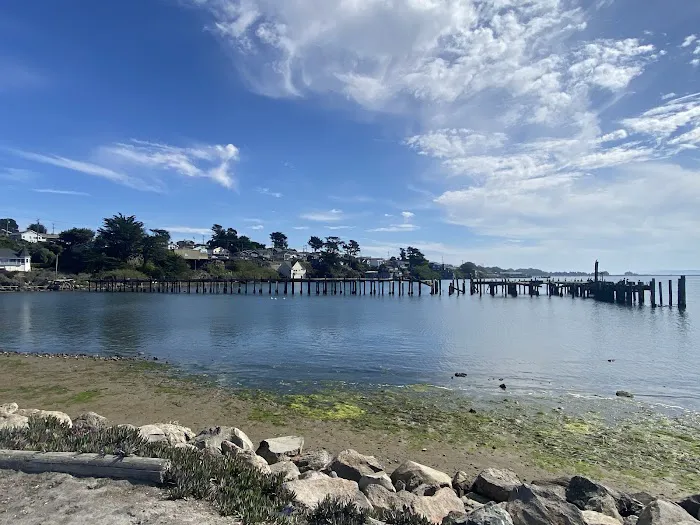Porto Bodega Marina and RV Park Picture 6