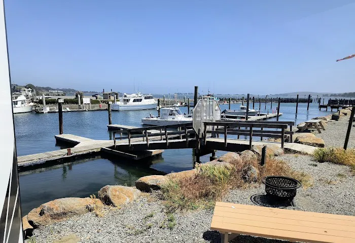 Porto Bodega Marina and RV Park Picture 5