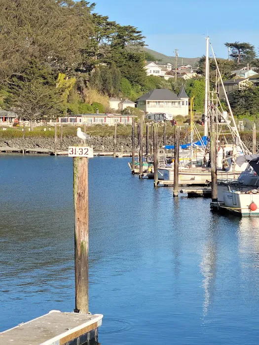 Porto Bodega Marina and RV Park Picture 7