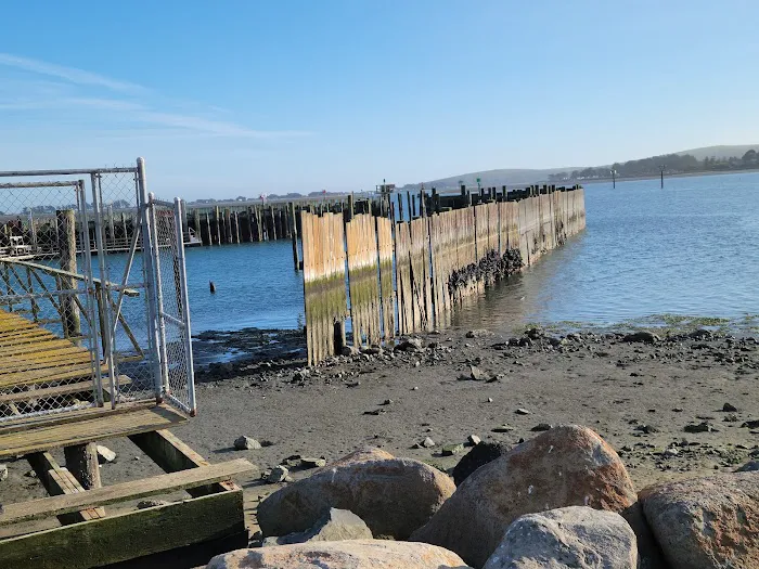 Porto Bodega Marina and RV Park Picture 8