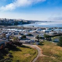 Porto Bodega Marina and RV Park ico