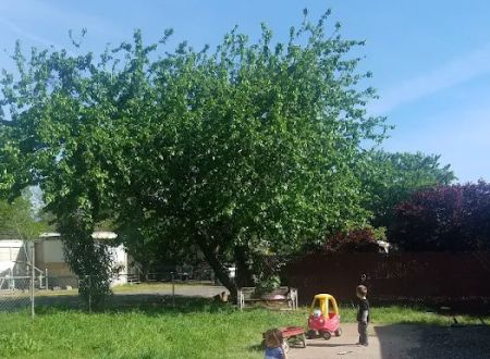 Pleasant Grove Mobile Home Pk