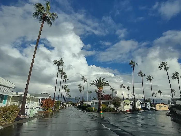 Golden Palms Mobile Home Estates Picture 5