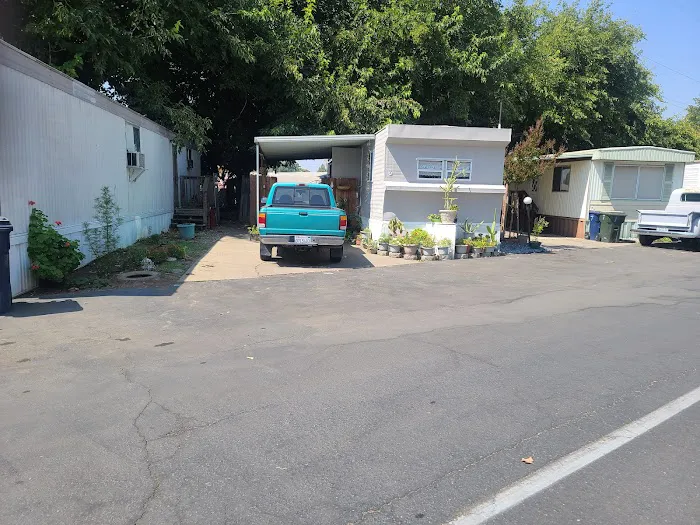 Bamboo Tree Mobile Home Park Picture 5