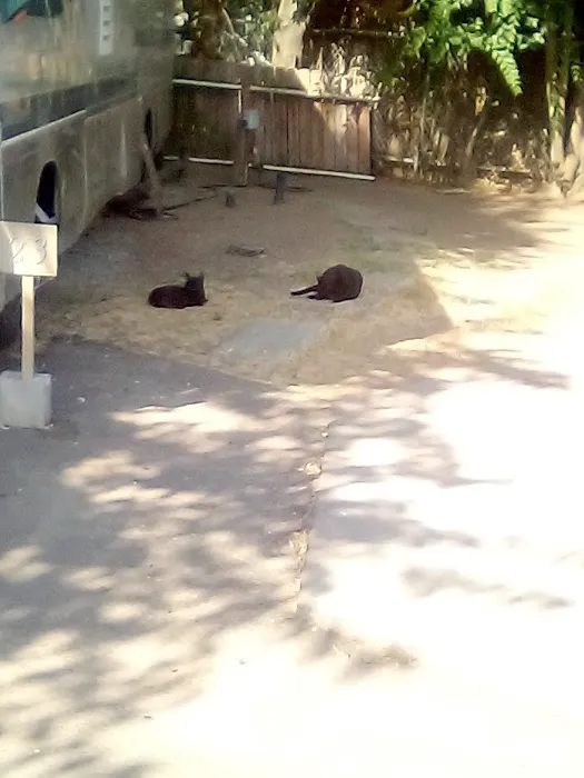 Acorn Mobile Village Picture 5