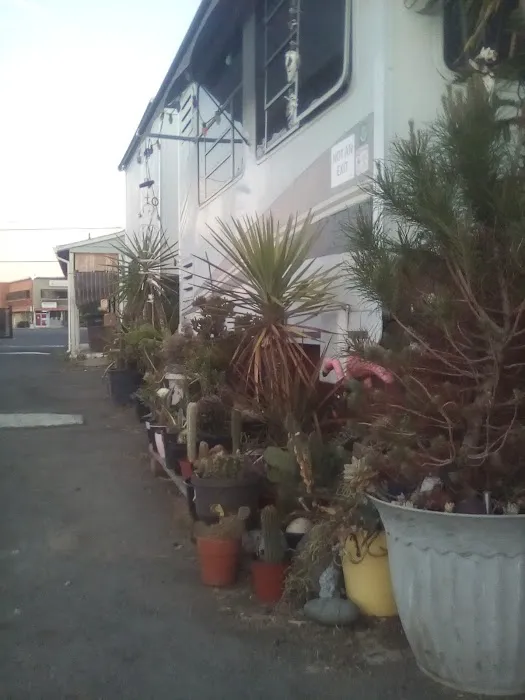 Rucker Apartments & RV Picture 1