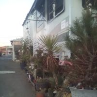 Rucker Apartments & RV ico