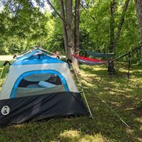 Coneflower Campground ico