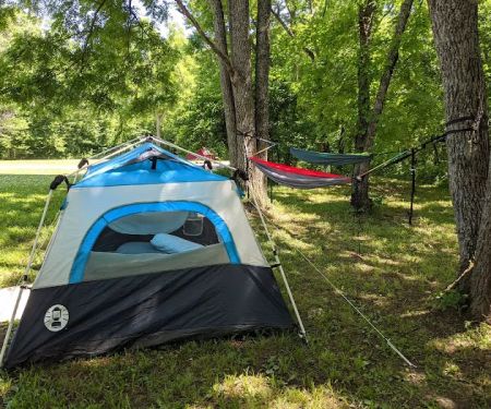 Coneflower Campground